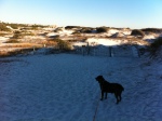 Zoe at the dunes on the nature trail at Greyton Beach State Park